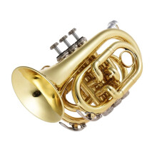 Pocket Trumpet Bb for Beginners Compact Brass Student Design with Accessories Durable Build