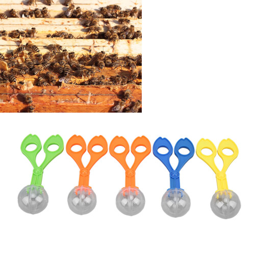 5pcs Plastic Insects Catcher Set, 14cm Multi-Function Bug Collector