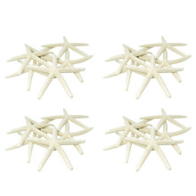 48 Piezas Estrella de Mar de Dedo 5-10cm Estrella de Mar Decorativa de Cinco Dedos