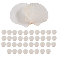80PCS Natural Scallop Shells 1.4-2.4inch White Small Sea Shells for Crafts Crafting Shell Bulk Real Seashells