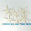 48PCS White Finger Starfish 5-10cm Decorative Five-Finger Starfish 5