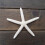 48PCS White Finger Starfish 5-10cm Decorative Five-Finger Starfish 6