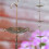 2X Rain Chains Metal Rain Chain Decorative Umbrella Rain Chain Bell Decor for Home,Replacement for Gutter Downspouts 3