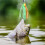 12 Stück Angelköder, Köder Spinner Swim Flipping Bladed Jigs, Chatter Fischköder für Lachs, Hecht, Forelle, Schaukelanhänger 3
