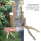 V Cut Grafting Tool with Ergonomic Pruning Shears for Fruit Trees, Precise Dual Function Cutter 2
