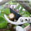 Pruning Shears for Fruit Trees, Large Opening Garden Scissors with Labor Saving OneHand Grip 4
