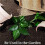 4X Table Runner 10 M X 30 cm Jute Table Runner Linen Jute Fabric, Table Runner Roll Table Decoration 6
