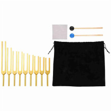 Stimmgabel Set - 45 Stimmgabeln für Chakra Heilung, Klangtherapie, Halten Körper, Geist und Seele im Perfekter Harmonie - Gold