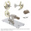 Stirling Engine Model Kit for Classroom Demonstration and Science Experiments, Educational Toy 4