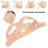 Adjustable Women’s Breathable Nylon Chest & Back Shaper, Size L 4