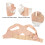 Adjustable Breathable Women’s Chest Shaper Posture Corrector, Nylon M 5