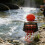 Professional Baits Dispenser With Removable Floating-Yellow 3