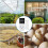 Digital Thermostat Plug Socket, LCD Screen Temperature Controller with Waterproof Sensor Probe for Reptile Home US Plug 5