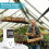 Digital Thermostat Plug Socket, LCD Screen Temperature Controller with Waterproof Sensor Probe for Reptile Home US Plug 6