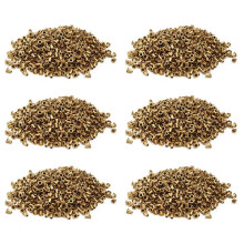 6000Pcs Copper Beekeeping Eyelets for Frames Bee Hive Equipments Copper Caps