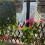 3X 2  Pump Timer System Outdoor Automatic Watering Pump Controller Flowers Plants Sprinkler Drip Irrigation Device 4