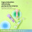Ergonomisches Design, Korrekturband-Design mit-Blau 7