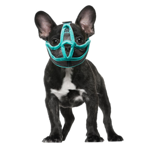 Dog Muzzle Mesh Short Snout Adjustable Breathable Anti-Bite Bulldog Muzzle 1