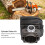 55mm Piston Assembly for Husqvarna 385 11