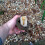 2X Hide-A-Spare-Key Fake-Rock - Looks Simulation Stone Resin Key Storage Box 7