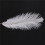 80 Pieces White Natural Ostrich Feather 20-25cm Wedding DIY 5
