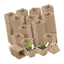Pots de Germination en fibres-Carré 8x8 avec de l'eau