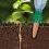 Efficient Auto Watering Planter Spikes Automatic Plant-White 5