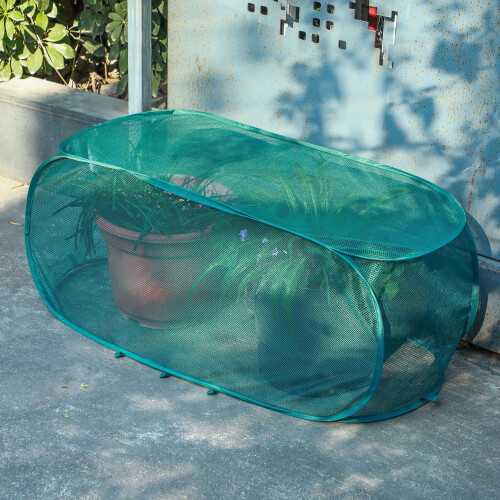 Accessoires de serre pliables, filet de protection pour-S Vert 2