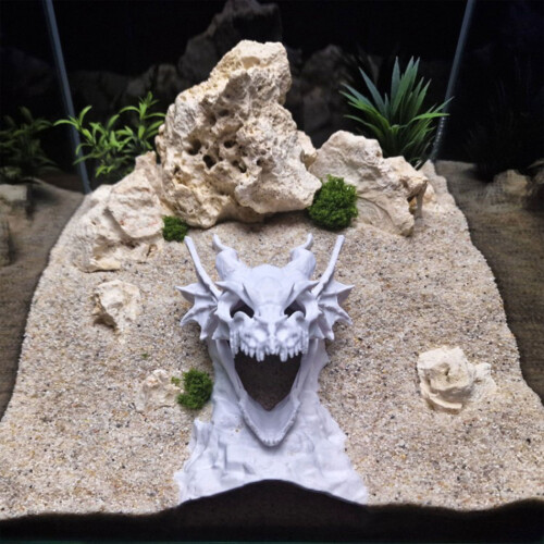 Genuine Western Dragon Sculpture accommodates Various-White S 2