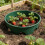 Praktischer Gartenschutz, stapelbar für selbst-1 Packung 5