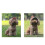 Practical Dog Baseball Hat Pet Sun Protective Hat for-Black S 2