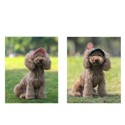 Chapeau de soleil pour chien à la mode, avec sangle-Bleu L 1