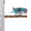 2PCS Wood Bird Perch Stand with Suction Cup Design For Parrots 4