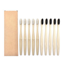 Manual Toothbrush Set Pack of 10 Colorful Bristles Adult Size 5 White 5 Black