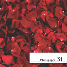 Fotopapier 320477 mm – Rosenblatt-Motiv