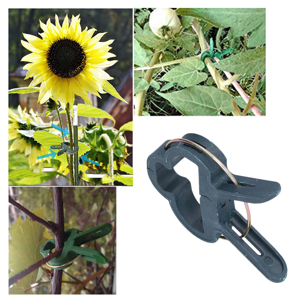 Plant Support Clips 100Pcs Garden Binding Clamps For Grafting And Greenhouses 4221390610518