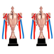 2pcs 11.8 Inch Copper Trophy Cup for Sports Meeting Competitions Soccer Winner Team Awards