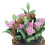 1:12 Scale Mini Clay Flower Carnations Doll House Accessory Perfect for Display 4
