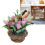 1:12 Scale Mini Clay Flower Carnations Doll House Accessory Perfect for Display 5