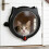Animal Door Featuring Magnetic ending 4 Lock-White 2