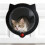 Animal Door Featuring Magnetic ending 4 Lock-White 6