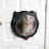 Animal Door Featuring Magnetic ending 4 Lock-White 7