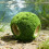Aquariums Landscape Artificial Moss Terrarium Landscape-1 3