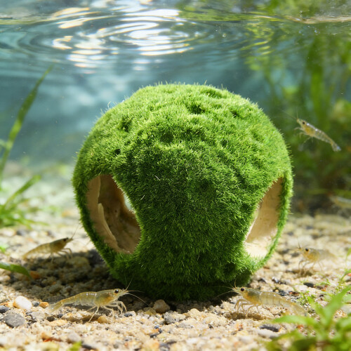 Aquariums Landscape Artificial Moss Terrarium Landscape-1 2