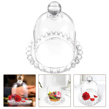 Small Glass Cloche Dome with Base and 1 Cake Tray