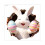 Easter Eggshell Rabbit & Flower Window Stickers – Spring Decor, Compatible with Glass Windows, 1 Sheet 4