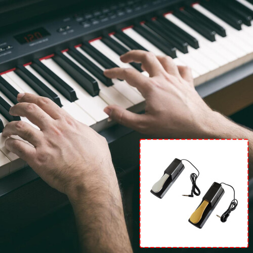 Sustain-Pedal mit Polaritätsschaltern für-2 2