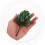 Artificial Tree Model Premium Plastic Material Lifelike Design Assorted Color 24Pcs 4