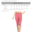 Plus Size Essential Basic Bomull Spandex Stretch Nedanför Knä 15" Långa Leggings 2