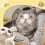 Cat Scratch Prevention Ball Mask Transparent Breathable 8